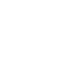 Dollar icon